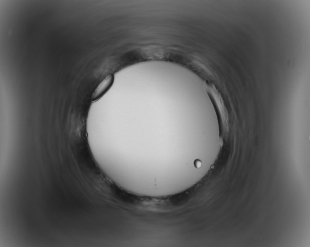 X0000086240125200704191829