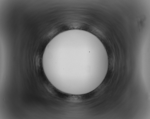 X0000086240126200704191829
