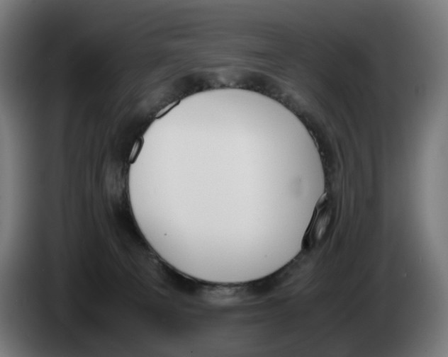 X0000086240129200704191829