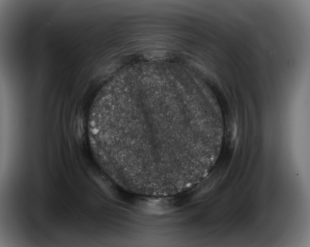 X0000086240130200704191829