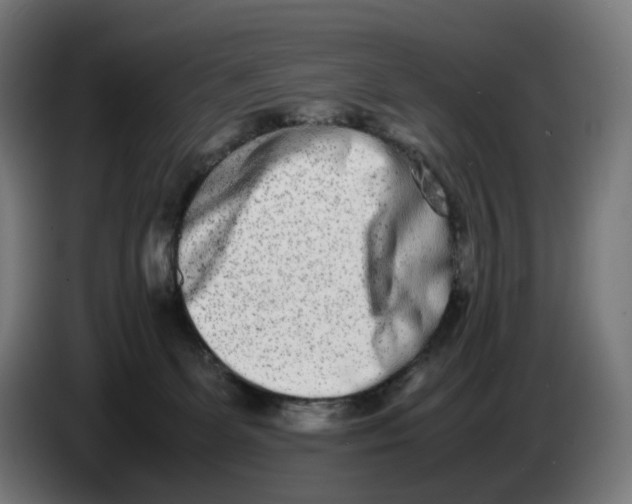 X0000086240131200704191829