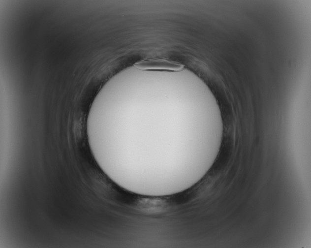X0000086240133200704191829