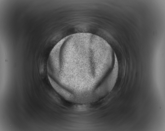 X0000086240134200704191829