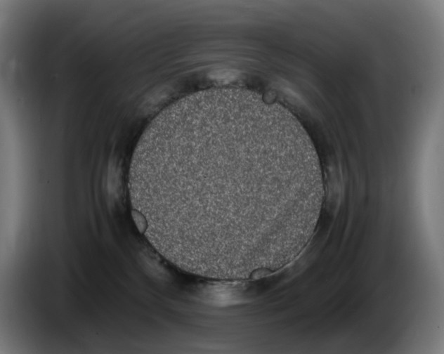 X0000086240136200704191829