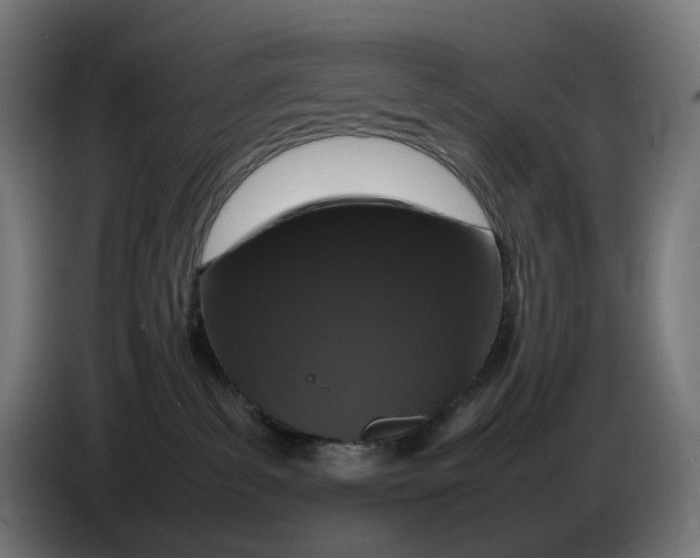 X0000086240139200704191829