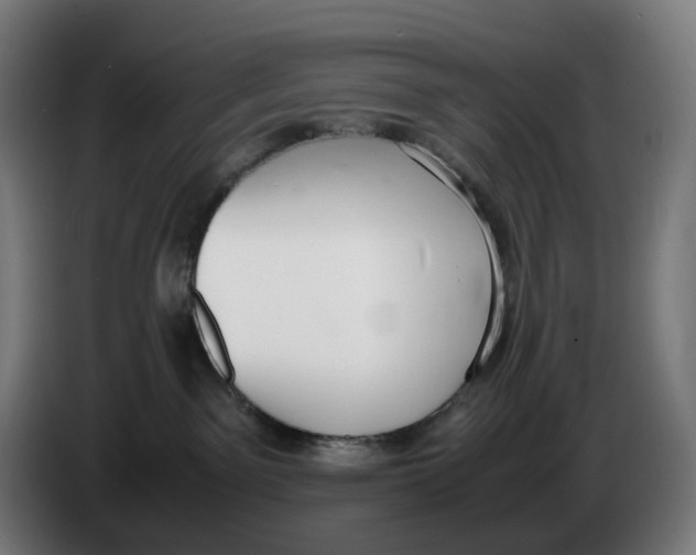 X0000086240141200704191829