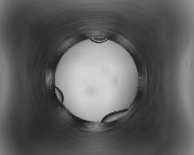X0000086240142200704191829