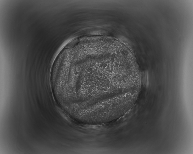 X0000086240147200704191828