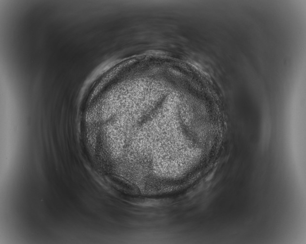 X0000086240149200704191828