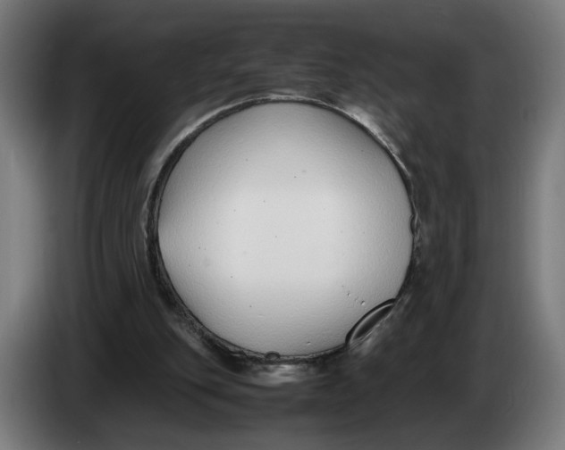 X0000086240151200704191828