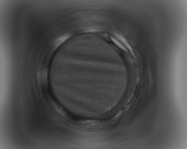 X0000086240154200704191828