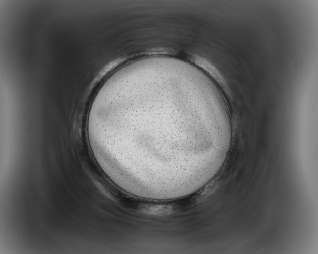X0000086240155200704191828