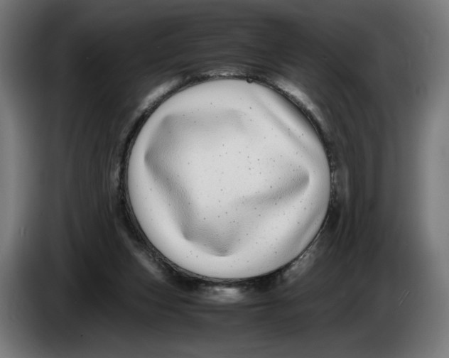 X0000086240159200704191828