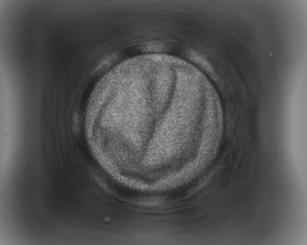 X0000086240161200704191828