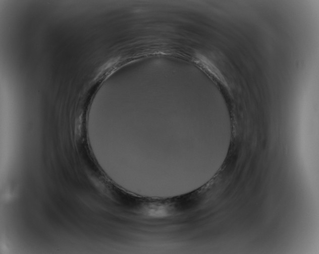 X0000086240163200704191828