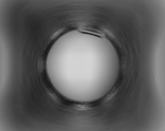 X0000086240164200704191828