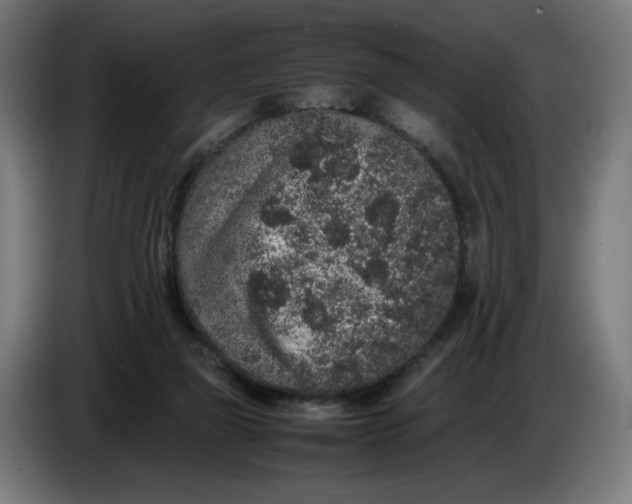 X0000086240165200704191828