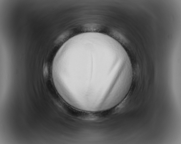 X0000086240166200704191828