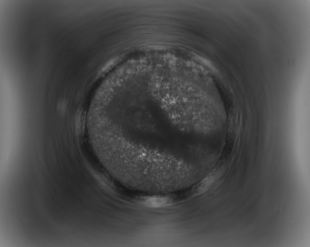 X0000086240168200704191828