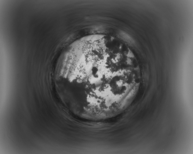 X0000086240169200704191828