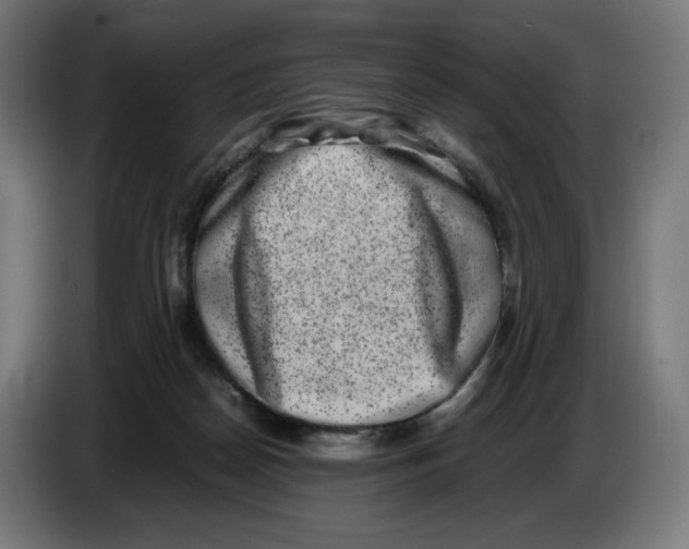 X0000086240170200704191828