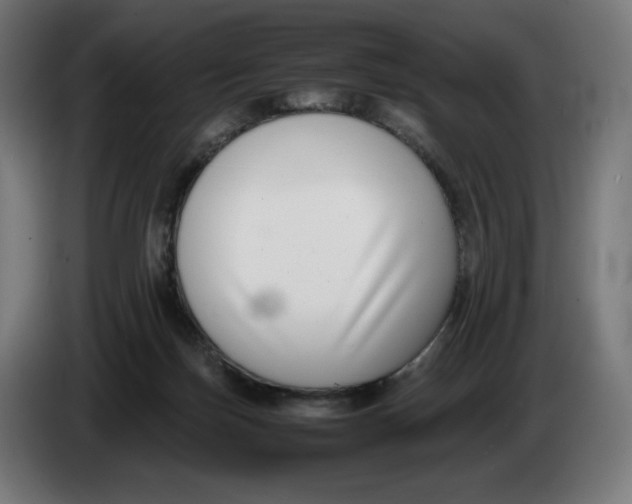X0000086240171200704191828