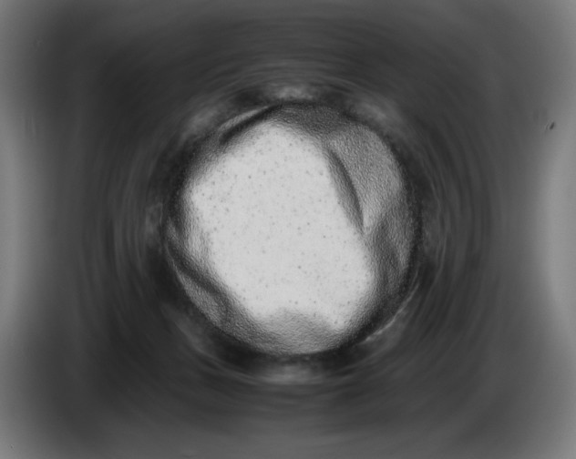 X0000086240175200704191828