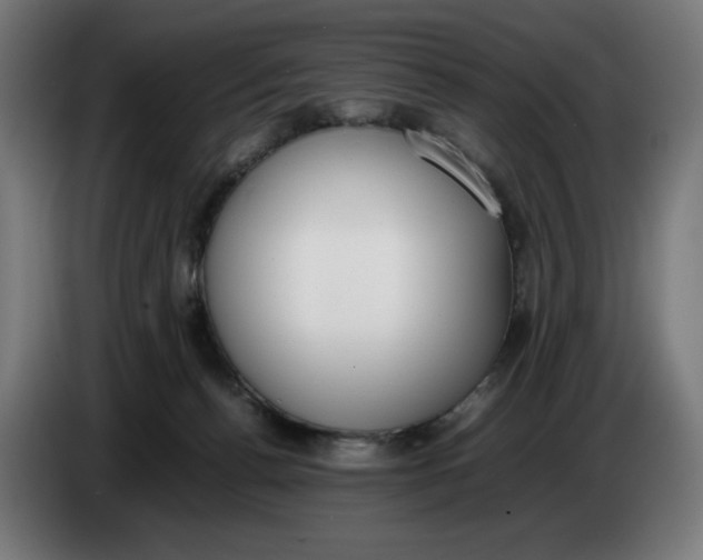 X0000086240176200704191828