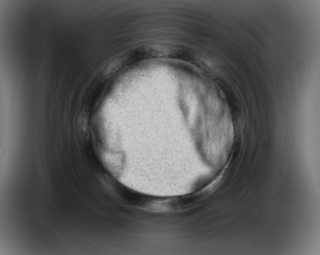 X0000086240178200704191828