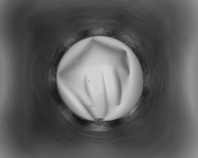 X0000086240179200704191828