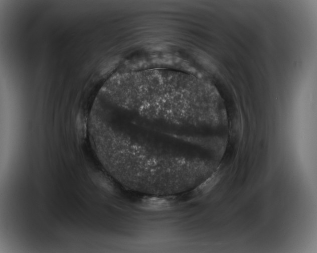 X0000086240180200704191829