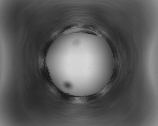 X0000086240188200704191829