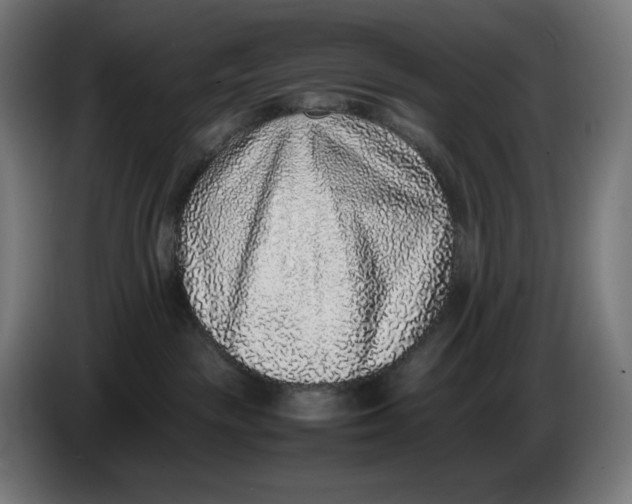 X0000086240189200704191829