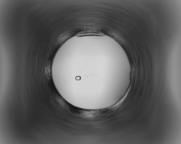 X0000086240190200704191829