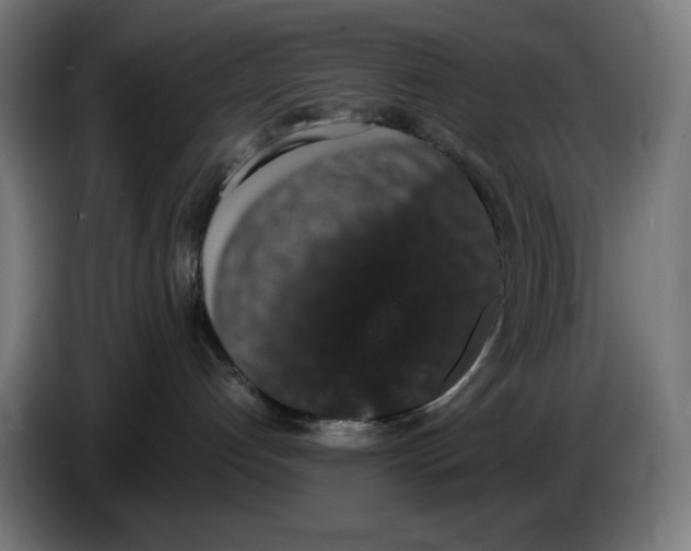 X0000086240192200704191829