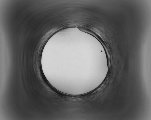 X0000086240193200704191828