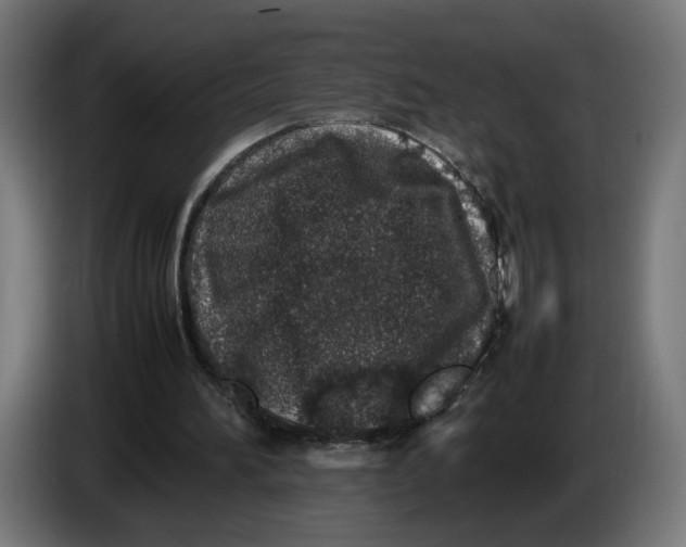 X0000086240196200704191828
