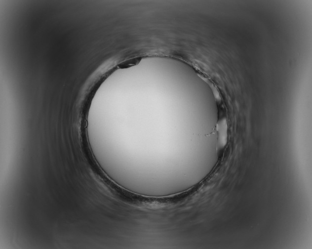 X0000086240197200704191828