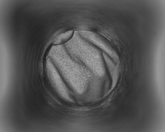 X0000086240198200704191828