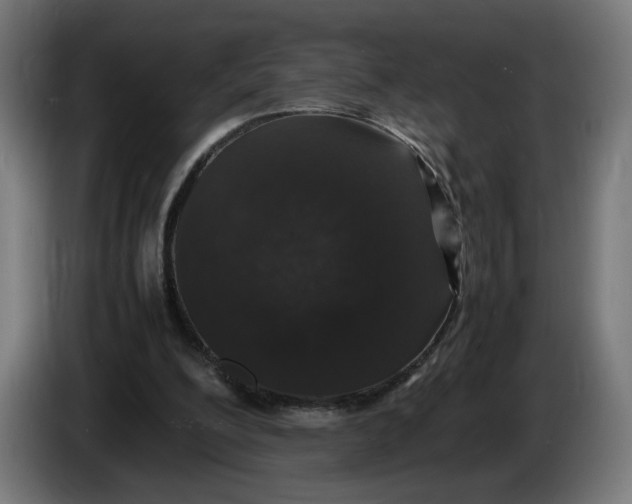 X0000086240200200704191828