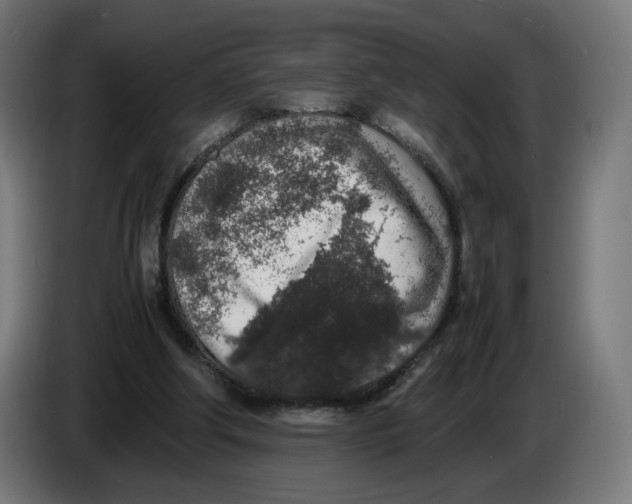 X0000086240202200704191828