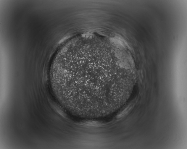 X0000086240203200704191828