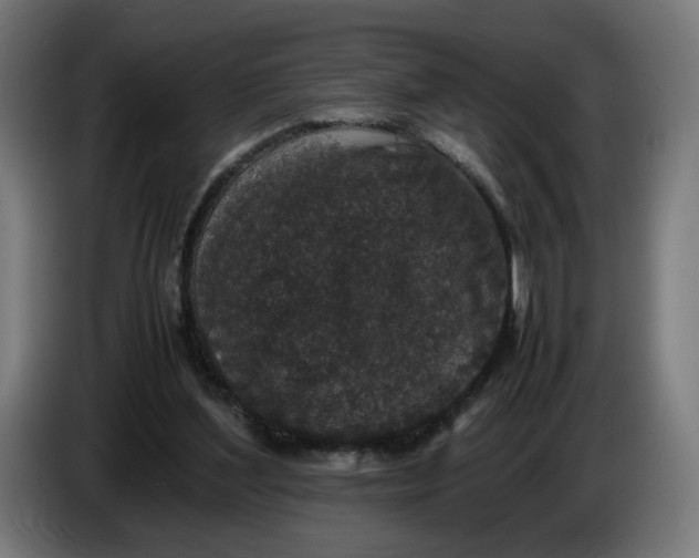 X0000086240204200704191828