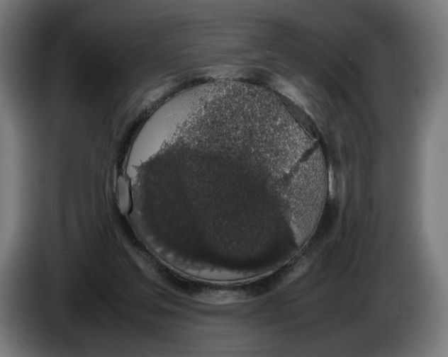 X0000086240205200704191828
