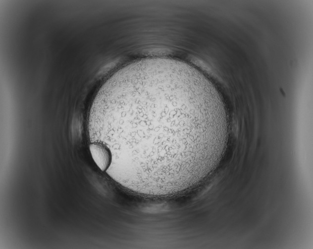 X0000086240206200704191828