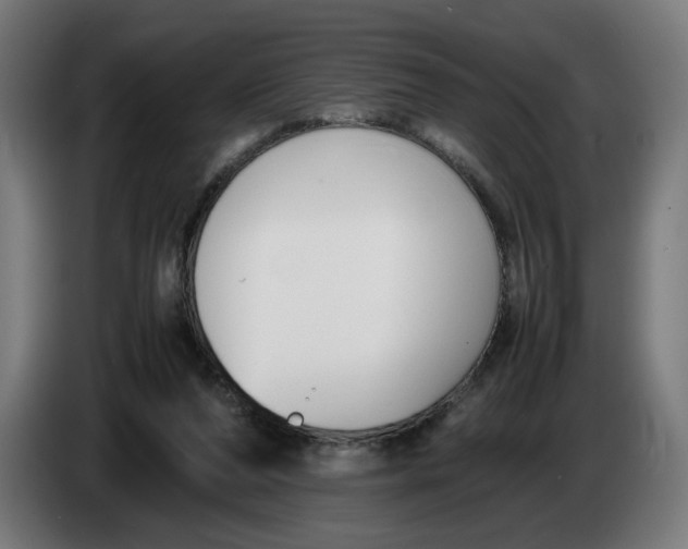 X0000086240208200704191828