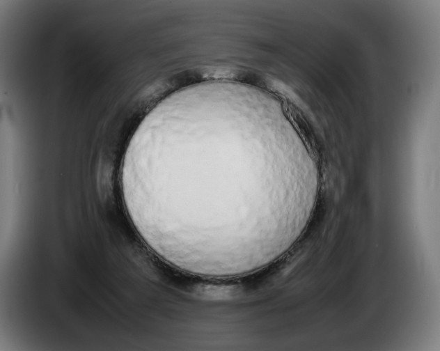 X0000086240209200704191828