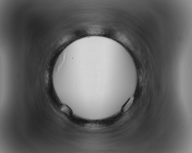X0000086240211200704191828