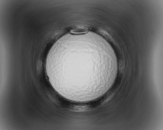 X0000086240213200704191828
