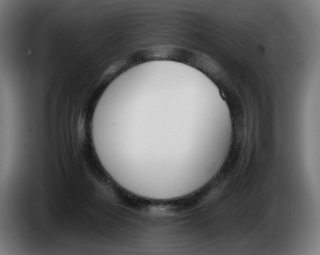 X0000086240216200704191828